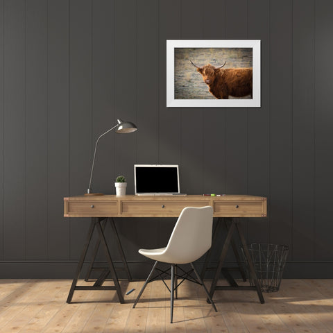 Texas Brown Steer White Modern Wood Framed Art Print by Texas Picture Archive