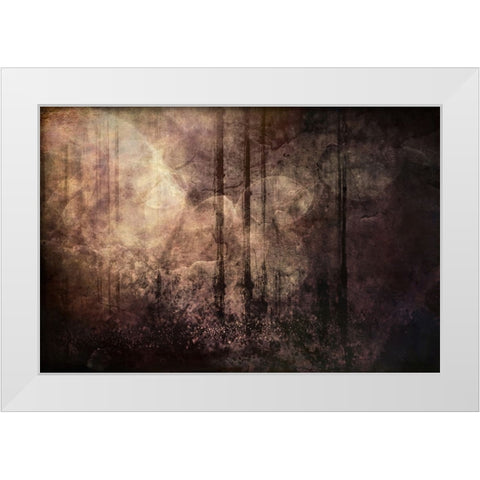 Wood between the Worlds White Modern Wood Framed Art Print by Alpenglow Workshop