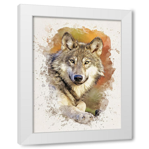 Gray Wolf White Modern Wood Framed Art Print by Alpenglow Workshop