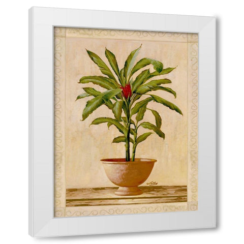 Potted Palm I White Modern Wood Framed Art Print by Welby