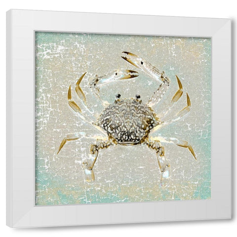 Aqua Marine XIV White Modern Wood Framed Art Print by Aryai, Sia