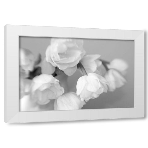 WhiteTulips White Modern Wood Framed Art Print by Stalus, Judy