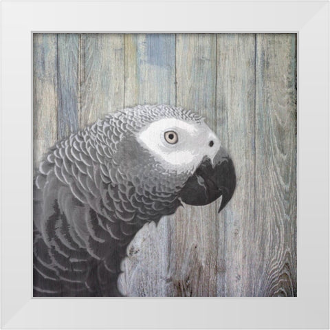 Bird Heads II White Modern Wood Framed Art Print by Smith, Karen