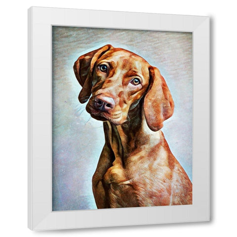 Hungarian Vizsla Adoration White Modern Wood Framed Art Print by Aldridge, Ashley