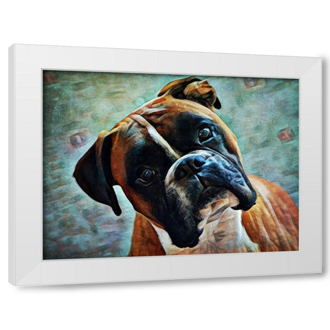 German Boxer Intrigue White Modern Wood Framed Art Print by Aldridge, Ashley