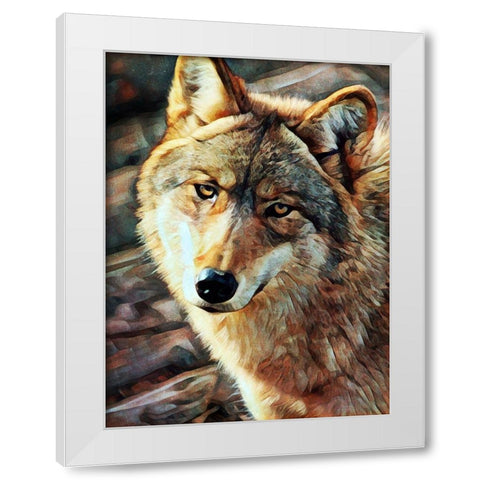 Gray Wolf Glare White Modern Wood Framed Art Print by Aldridge, Ashley