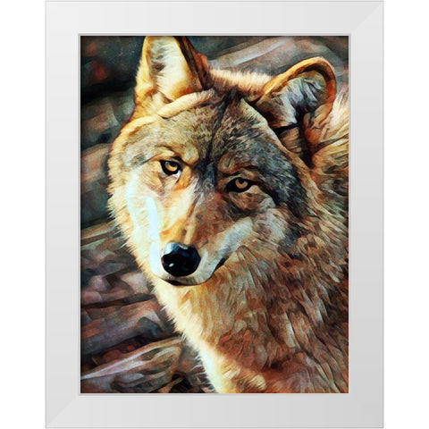 Gray Wolf Glare White Modern Wood Framed Art Print by Aldridge, Ashley