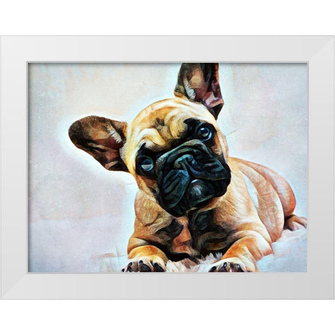 Fawn French Bulldog Puppy Pose White Modern Wood Framed Art Print by Aldridge, Ashley