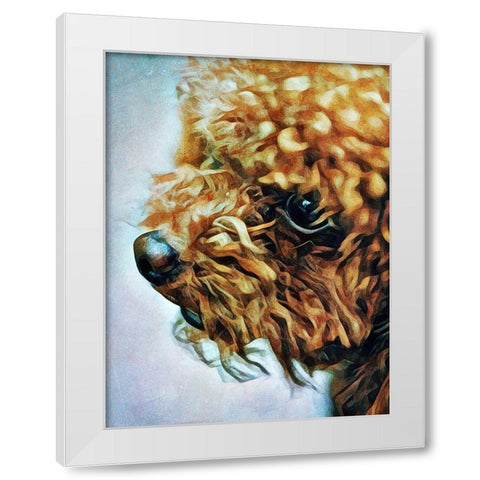 Apricot Toy Poodle Puff White Modern Wood Framed Art Print by Aldridge, Ashley