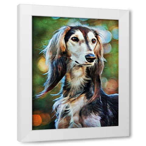 Saluki Sighted White Modern Wood Framed Art Print by Aldridge, Ashley