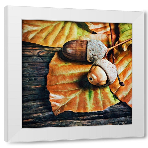 Autumn Acorns White Modern Wood Framed Art Print by Aldridge, Ashley