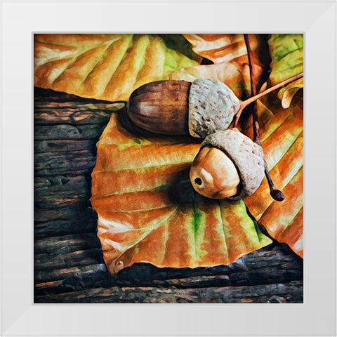 Autumn Acorns White Modern Wood Framed Art Print by Aldridge, Ashley