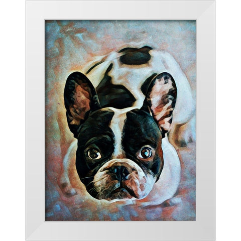 French Bulldog Fixation White Modern Wood Framed Art Print by Aldridge, Ashley