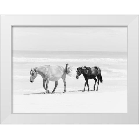 Beach Horse Duo White Modern Wood Framed Art Print by Curinga, Kim