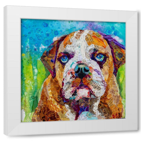 Bull Dog White Modern Wood Framed Art Print by St Hilaire, Elizabeth