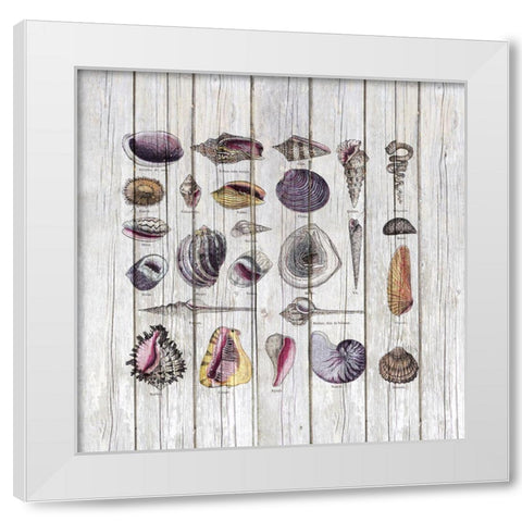 Vintage Shells White Modern Wood Framed Art Print by Haase, Andrea