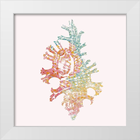 Bahama Shell I White Modern Wood Framed Art Print by Guillen, Surma