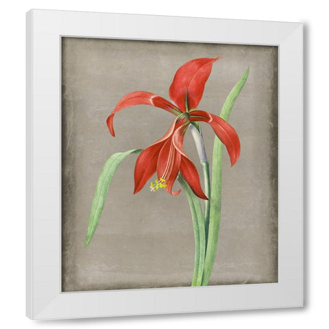 Inthered II White Modern Wood Framed Art Print by Smith, Karen