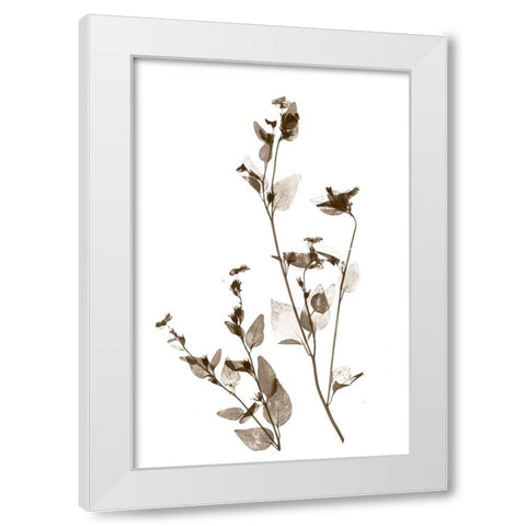 Wild Flower White Modern Wood Framed Art Print by Stalus, Judy