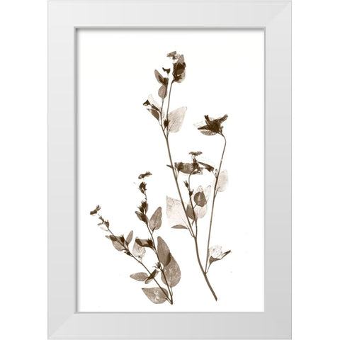 Wild Flower White Modern Wood Framed Art Print by Stalus, Judy