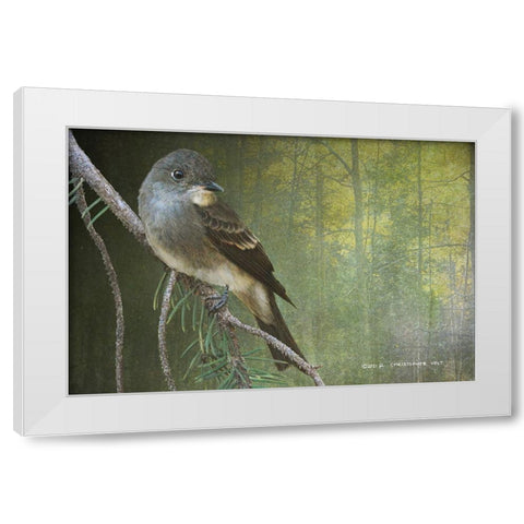 Western Wood Peewee White Modern Wood Framed Art Print by Vest, Christopher