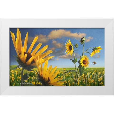 Sunflowers in Kansas White Modern Wood Framed Art Print by Vest, Christopher