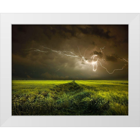 Electrically in Summer White Modern Wood Framed Art Print by Schumacher, Nicolas