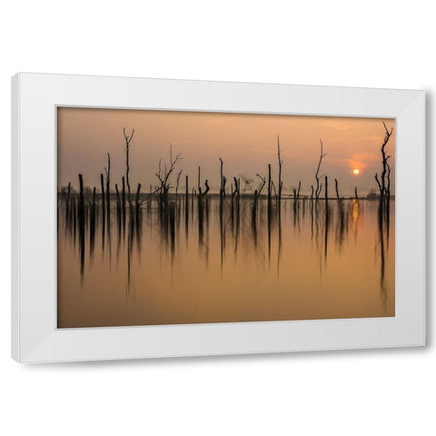 drowned forest White Modern Wood Framed Art Print by Haaksma, Piet