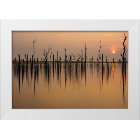 drowned forest White Modern Wood Framed Art Print by Haaksma, Piet