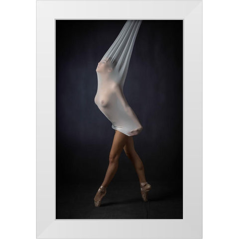 Sheer Stretch White Modern Wood Framed Art Print by Studio, Catchlight