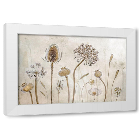Growing old White Modern Wood Framed Art Print by Disher, Mandy