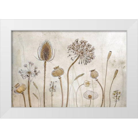Growing old White Modern Wood Framed Art Print by Disher, Mandy