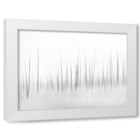 Wintry scenery in Yellowstone White Modern Wood Framed Art Print by Lai, Charles