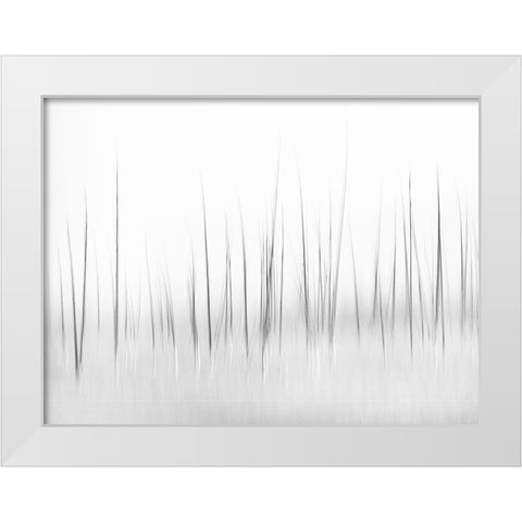 Wintry scenery in Yellowstone White Modern Wood Framed Art Print by Lai, Charles