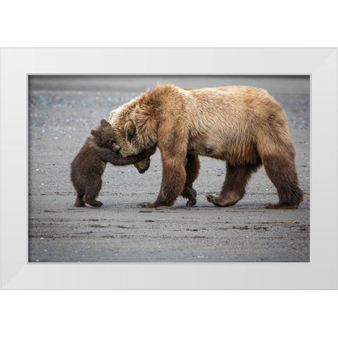 A Little Bear Hug White Modern Wood Framed Art Print by Doyle, Renee