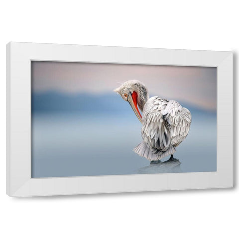 Dalmatian pelican at dawn White Modern Wood Framed Art Print by Ortega, Xavier