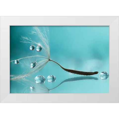 Water White Modern Wood Framed Art Print by Barbieri, Rina