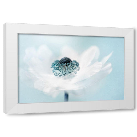 Candy floss White Modern Wood Framed Art Print by Parker, Jacky