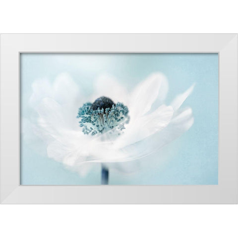 Candy floss White Modern Wood Framed Art Print by Parker, Jacky