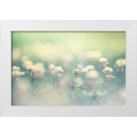 small world White Modern Wood Framed Art Print by Suzuki, Takashi