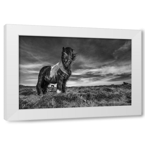 Two of a kind White Modern Wood Framed Art Print by Ingibergsson, Bragi