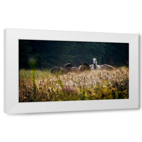 our garden White Modern Wood Framed Art Print by Malovrh, Milan