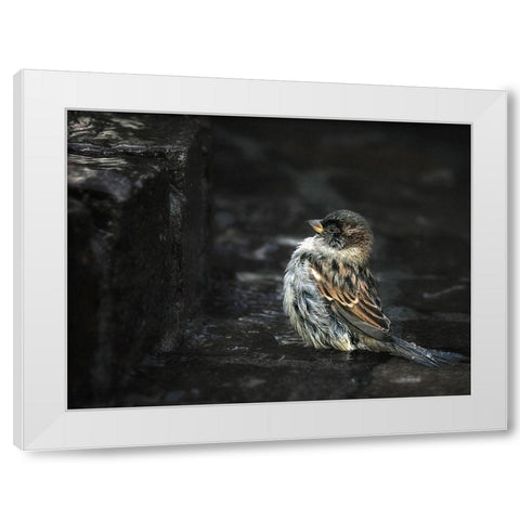 the Wall White Modern Wood Framed Art Print by Droste, Holger