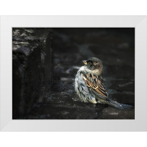 the Wall White Modern Wood Framed Art Print by Droste, Holger