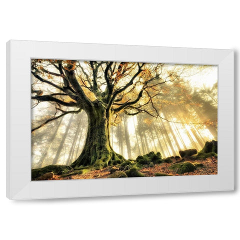 November White Modern Wood Framed Art Print by Kiciak, Christophe
