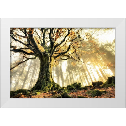 November White Modern Wood Framed Art Print by Kiciak, Christophe