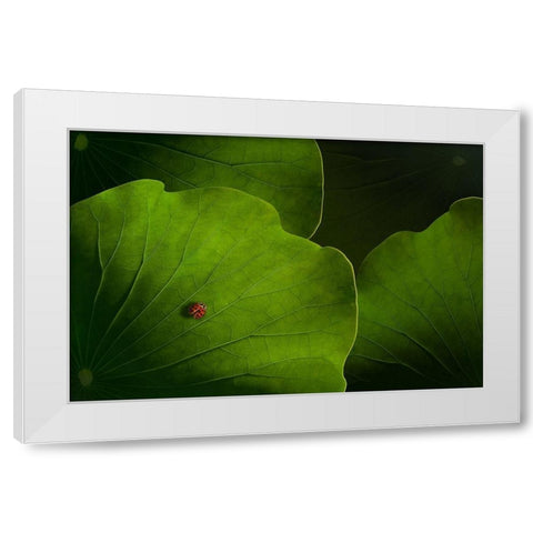 Wanderlust White Modern Wood Framed Art Print by Bonadio, Heather