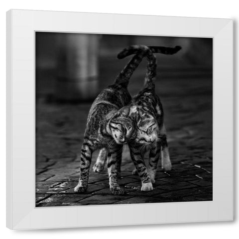 Untitled White Modern Wood Framed Art Print by Nebula