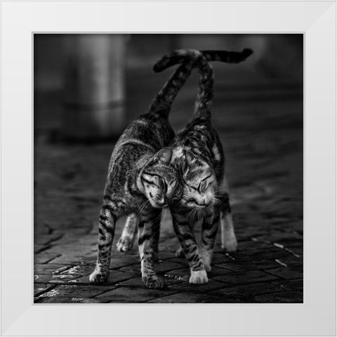 Untitled White Modern Wood Framed Art Print by Nebula