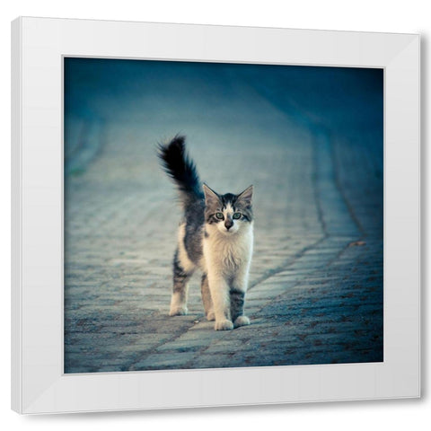 little one White Modern Wood Framed Art Print by Ilijic, Dejan